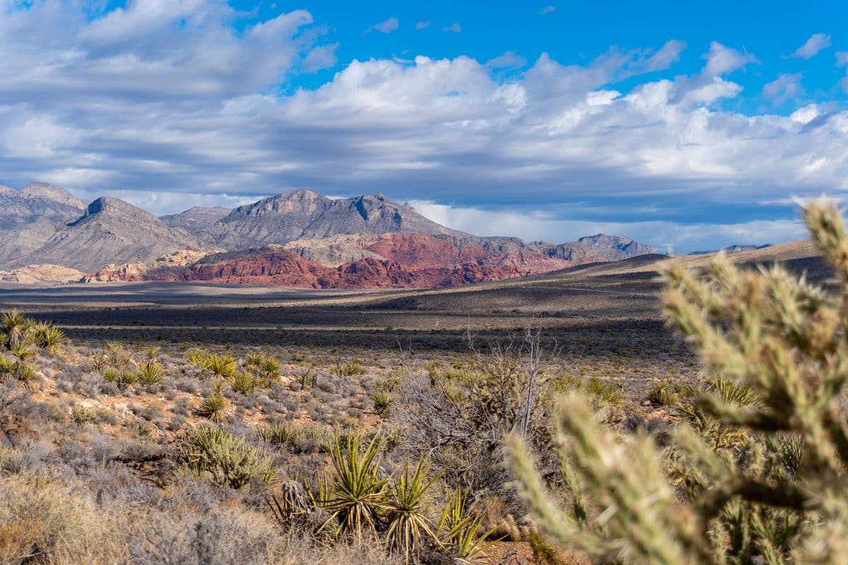 55+ Communities in Summerlin NV: 2026 Guide