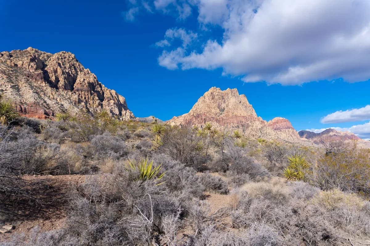 Skye Canyon Las Vegas: 2026 Neighborhood Guide — additional context
