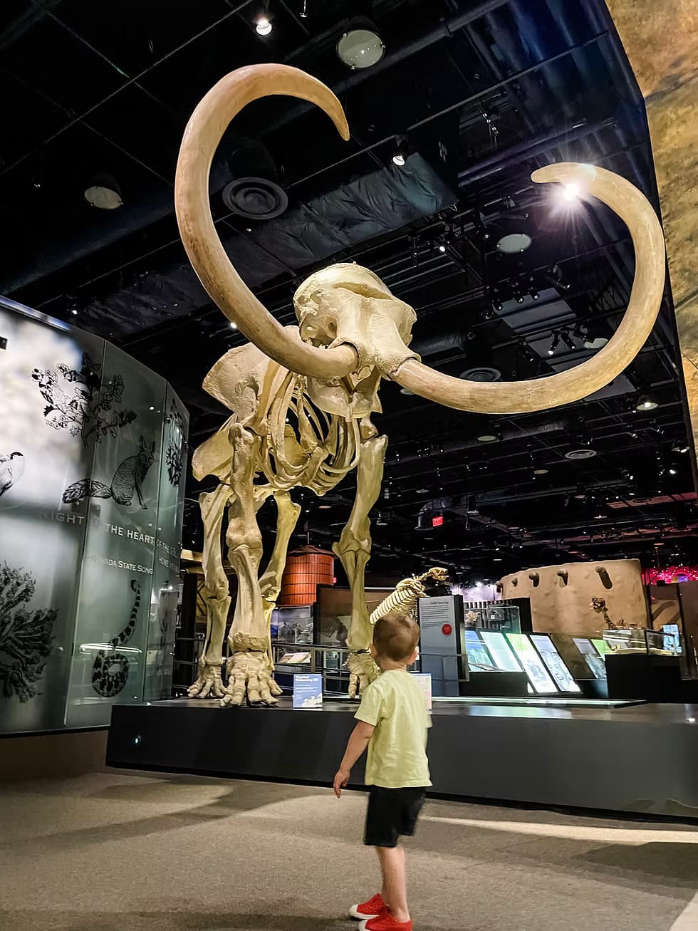 Springs Preserve: A Hidden Gem for Families in Las Vegas — additional context